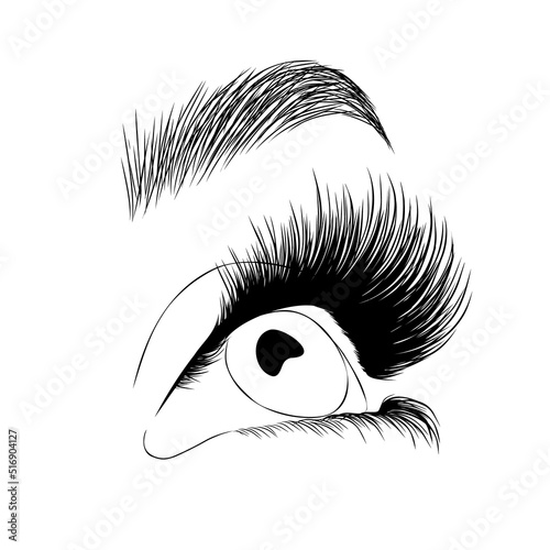 Realistic lashes on white background. Female open eyes and brows. Lamination and extension eyelashes. Beauty studio logo. Linear vector Illustration in trendy minimalist style.