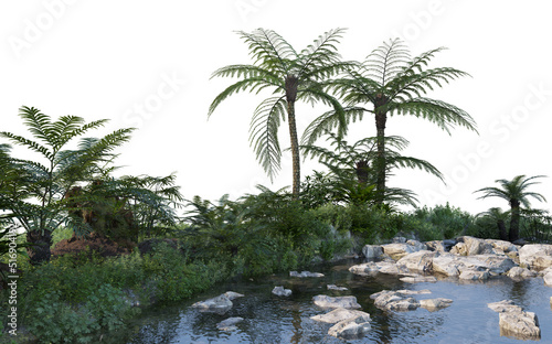 Tropical plants and trees beside streams On a white background