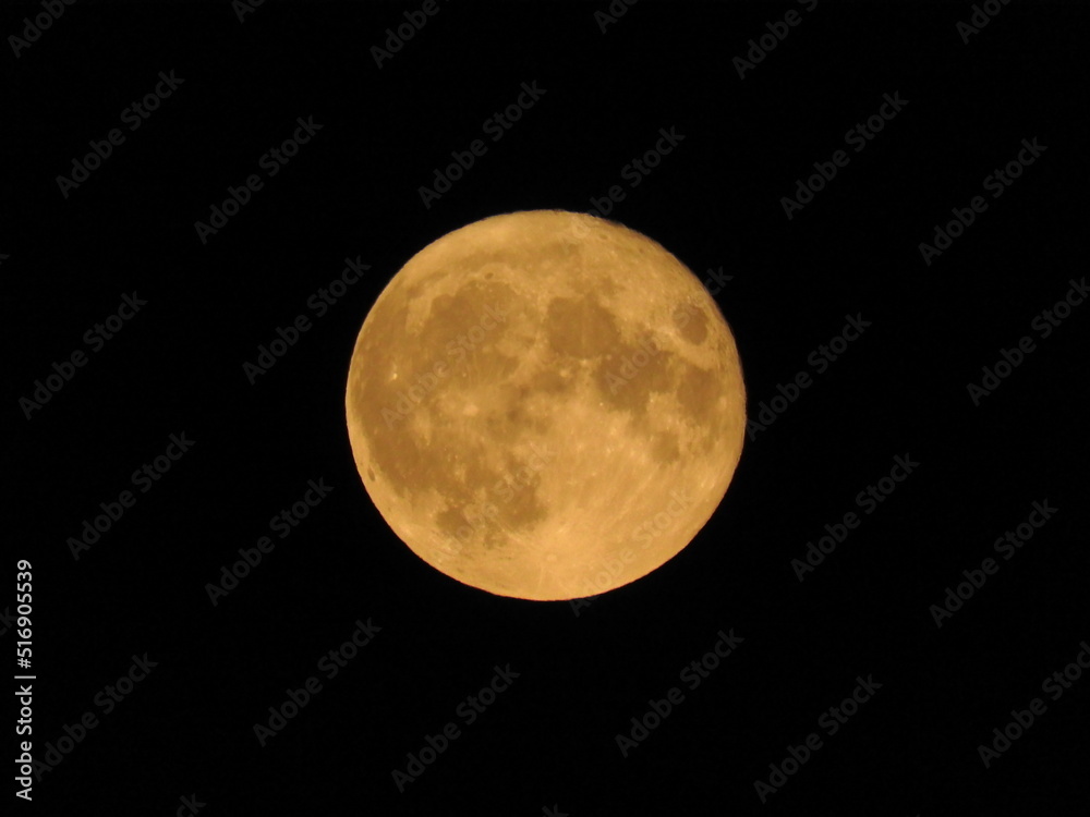 Obraz premium Centered Buck Moon 2022 (Supermoon) - Full Moon View from Richmond - British Columbia - Canada