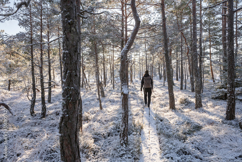 Wallpaper Mural Young woman hiking in snowy forest Torontodigital.ca