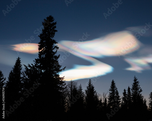 Silhouette of forest under pearl clouds at night photo