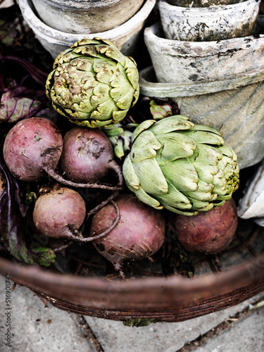 Artichokes and beets in flower pot