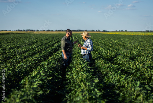 Two farmers in a field examining soy crop.