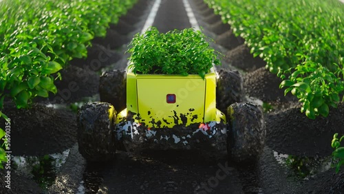 Automatic delivery robot transports freshly gathered plants beetween the plants. photo