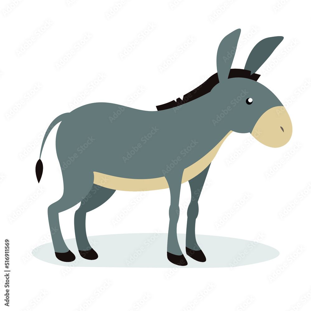 gray donkey on white background