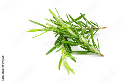 Rosemary sprig isolated on white background. Aromatic evergreen shrub © Nikox2