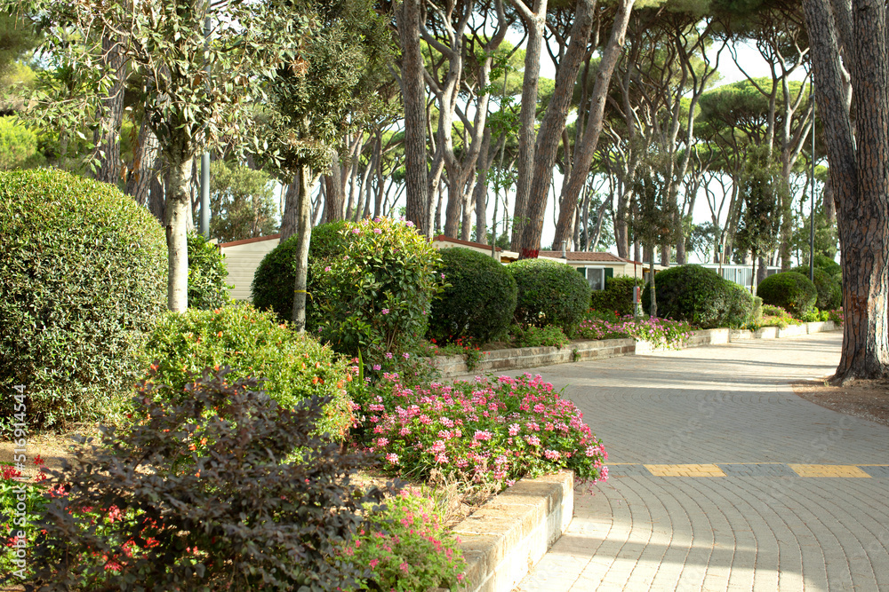 Fototapeta premium Flower bed, alley, road, path, well-kept garden, camping, A town of Dutch houses, a settlement, camping, vacation, houses standing among trees, in the forest. 