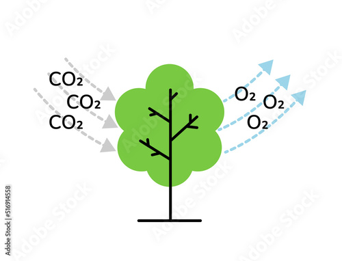 Tree absorbs CO2 and releases O2 linear style scheme vector illustration. Carbon cycle. CO2 neutrality concept. Ecology, environment, photosynthesis process. Flat vector illustration.