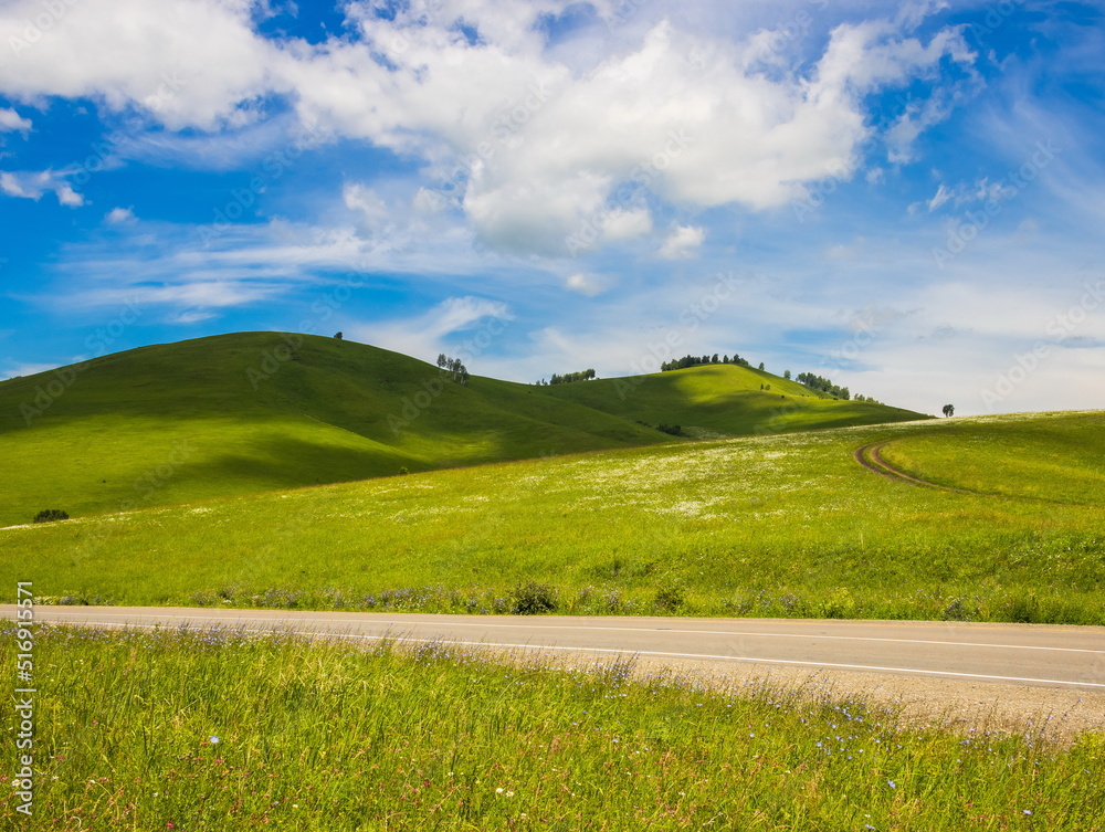 Fototapeta premium Summer foothill landscape. Green meadow and blue sky with clouds. Altai.