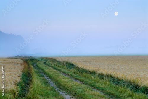 Rural road at sunset photo