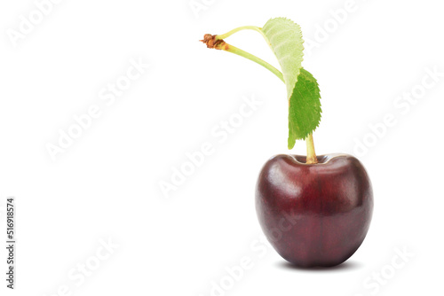 Fototapeta Red ripe sweet cherry fruit whole with green leaf closed up isolated on white