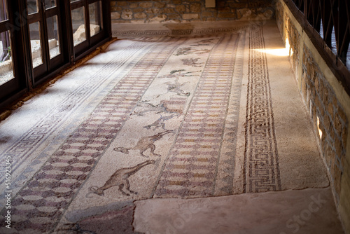 Ancient Greek floor mosaic in archaeologic park Kato Paphos, Cyprus. photo