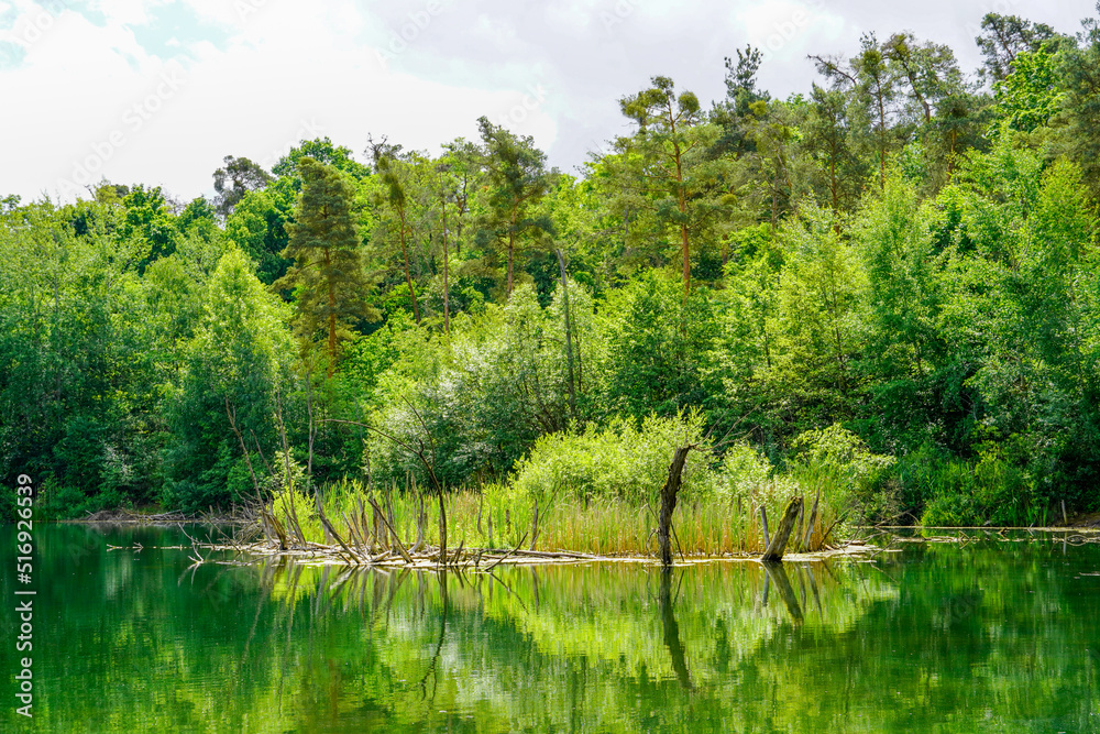 Karlsternweiher near Mannheim. View of the small lake with green nature.
Karlsternweiher near Mannheim. View of the small lake with green nature.
