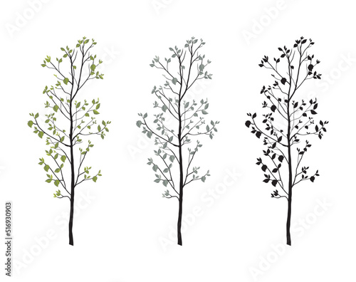 teak tree vector. teak tree with various color models