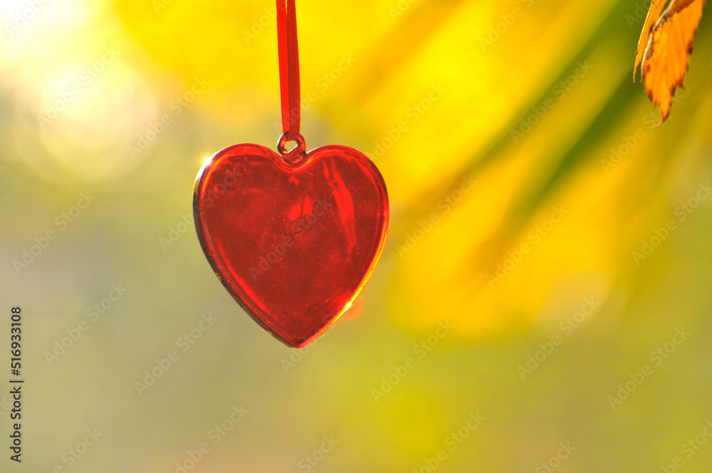 Red heart on autumn background Red heart on autumn background