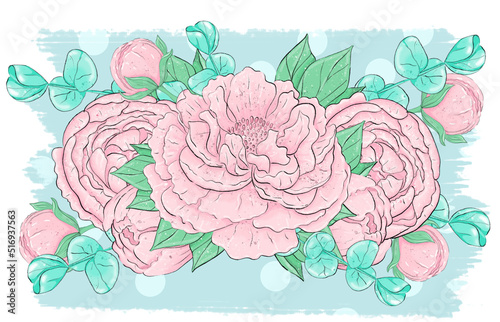 Bouquets of pink peony flowers and eucalyptus leaves. Graphic design elements. To create a logo, and postcards.