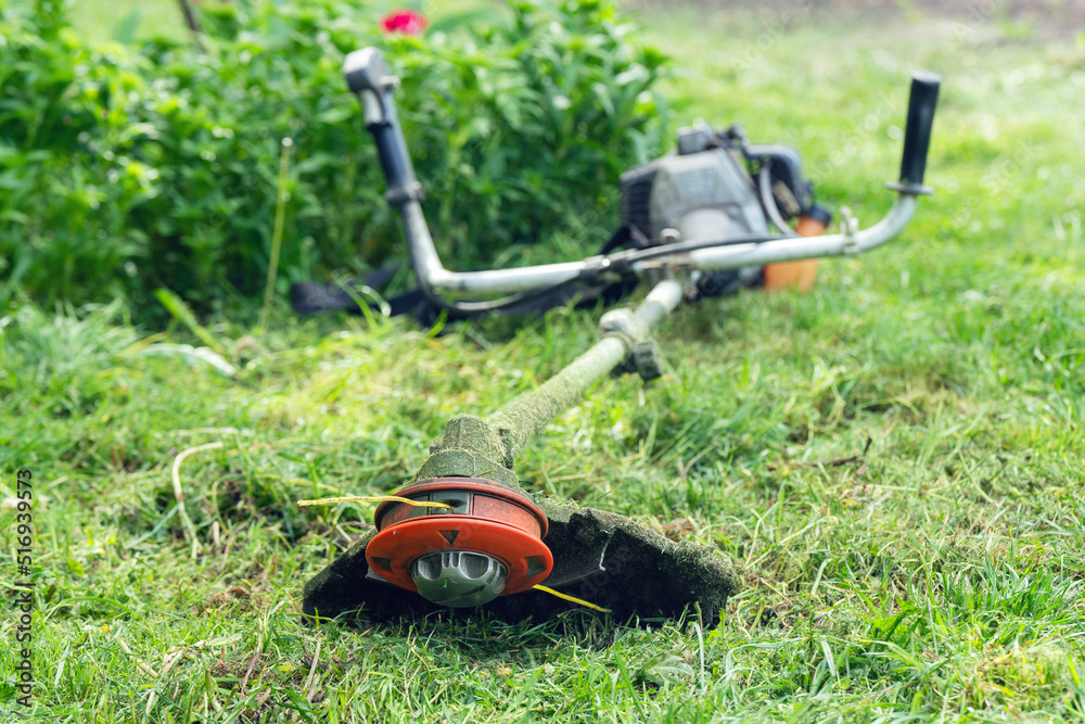 Garden gasoline trimmer lies on the grass Garden gasoline trimmer lies on the grass