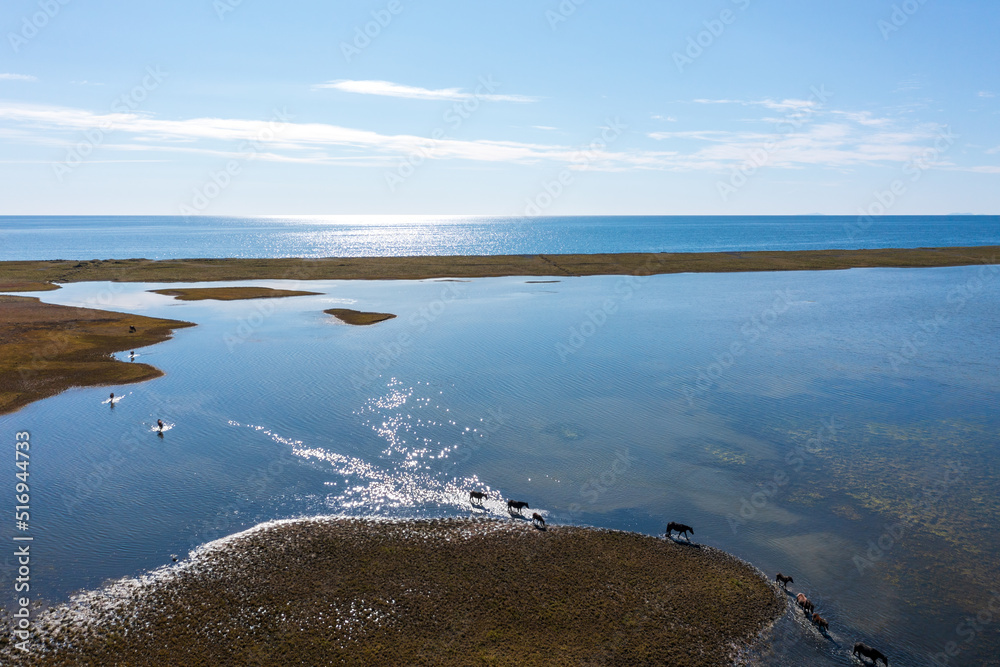 An aerial photograph of a shallow salt lake separated from the sea by a narrow spit. A herd of horses walks along the water and along the shore of the lake. Blue water and sky. Sun glare on the water.