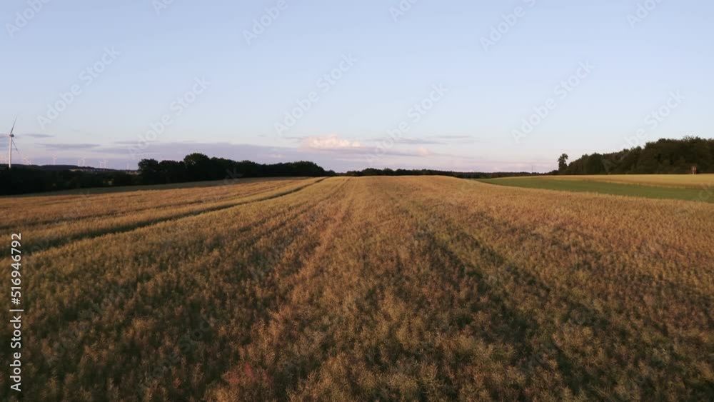 Schöne Felder in natürlicher Umgebung mit Wolken und Abendsonne. Schöne Felder in natürlicher Umgebung mit Wolken und Abendsonne.