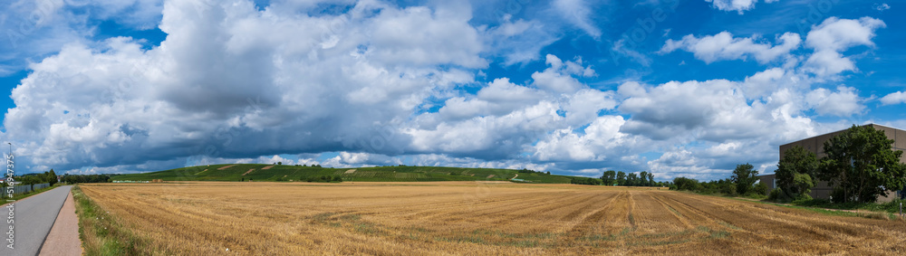 View over a harvested grain field towards vineyards in the background in Rhenish-Palatinate/Germany View over a harvested grain field towards vineyards in the background in Rhenish-Palatinate/Germany