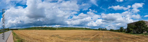 View over a harvested grain field towards vineyards in the background in Rhenish-Palatinate Germany