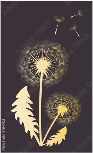 Vector illustration of Silhouette dandelions on a dark  background. EPS10 for logos or labels  postcards  posters  stickers  wall decor  wallpaper   etc. Wall art for decor. 