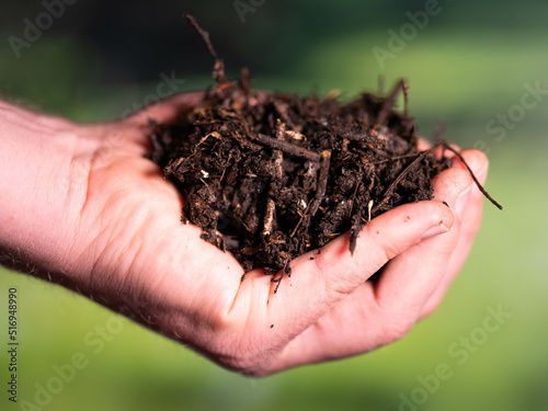 Holding soil in a hand, feeling compost in a field in Tasmania Australia. Hands holding