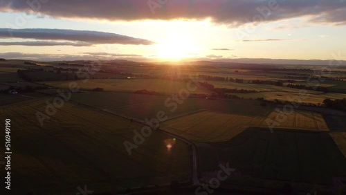 Drone photography of endless green fields at sunset.