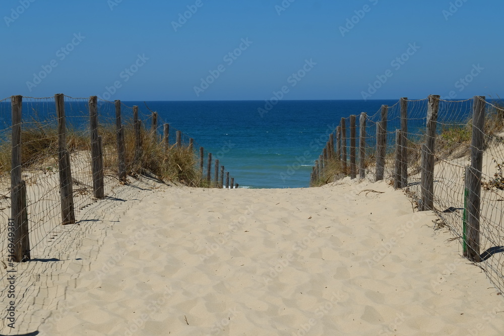 Fototapeta premium A small path to join the beach. Cap Ferret, France, The 7th July 2022.