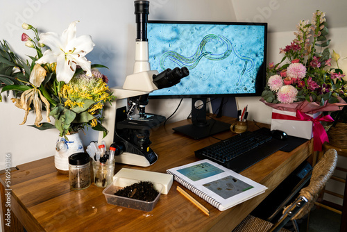 Home lab testing soil samples for soil life biology microorganisms in compost with a microscope, looking at nematodes in Tasmania, organic regenerative agriculture. Foot and mouth in Australia 