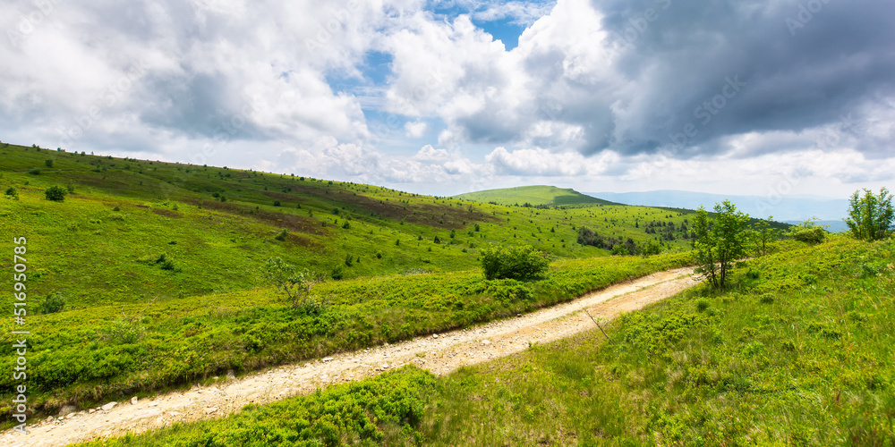 Naklejka premium ukrainian carpathians mountain landscape in summer. dirt road and hiking trail track. panoramic view of a hilly countryside. vacation and active lifestyle concept