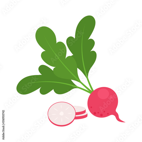 Whole European red radish and slices isolated on white background. Raphanus raphanistrum. Vegetarian food. Vector vegetables illustration in flat style.
