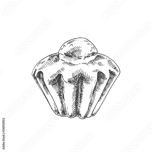 Hand drawn vector french brioche bun illustration