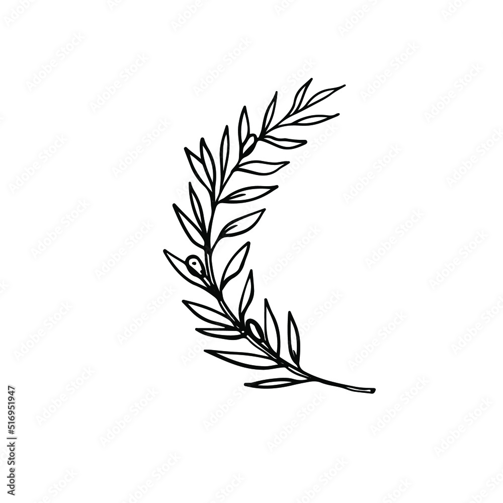 one line drawing of ancient greek olive wreath isolated on white background
