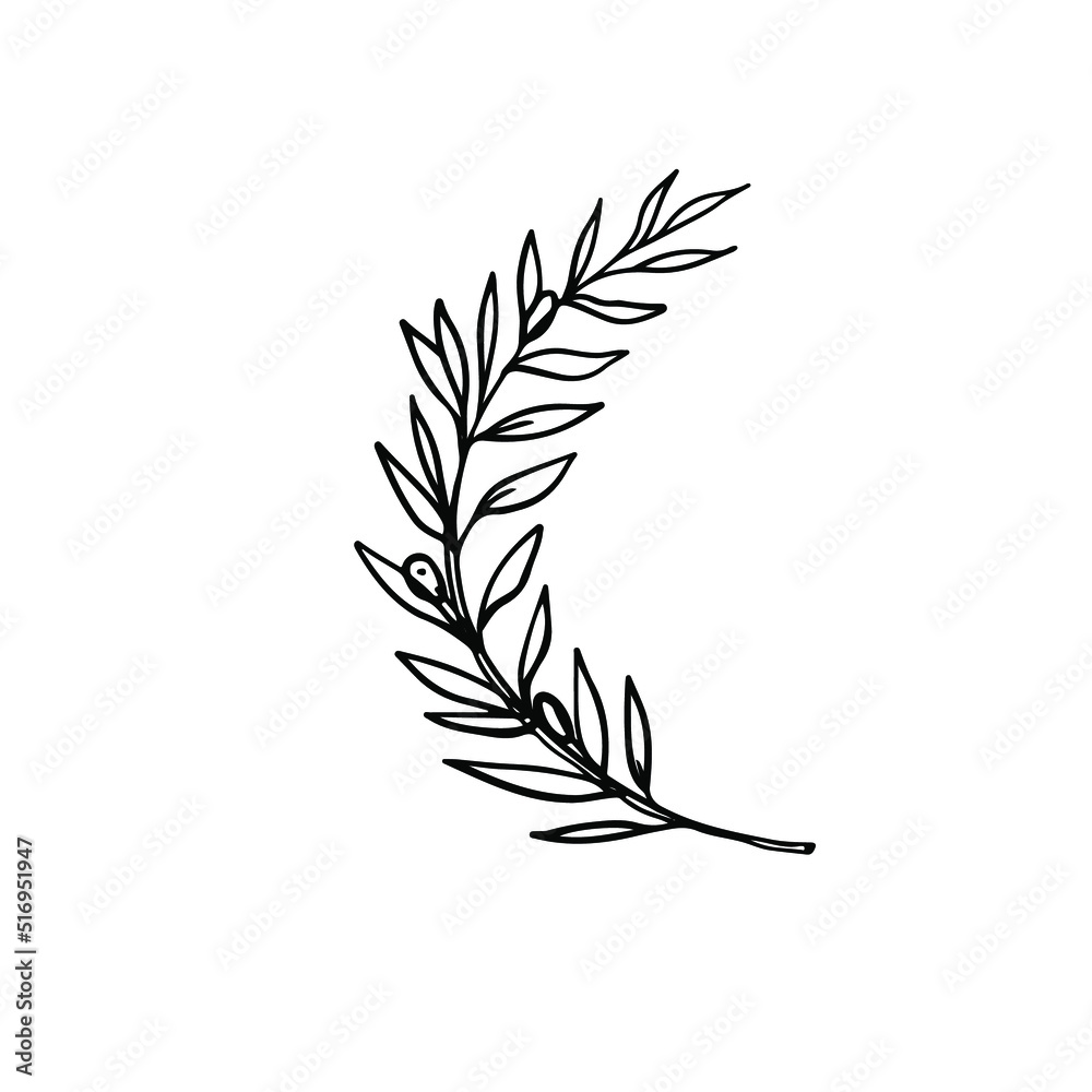 Naklejka premium one line drawing of ancient greek olive wreath isolated on white background
