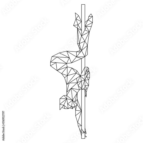 Pole Dance Sticker photo