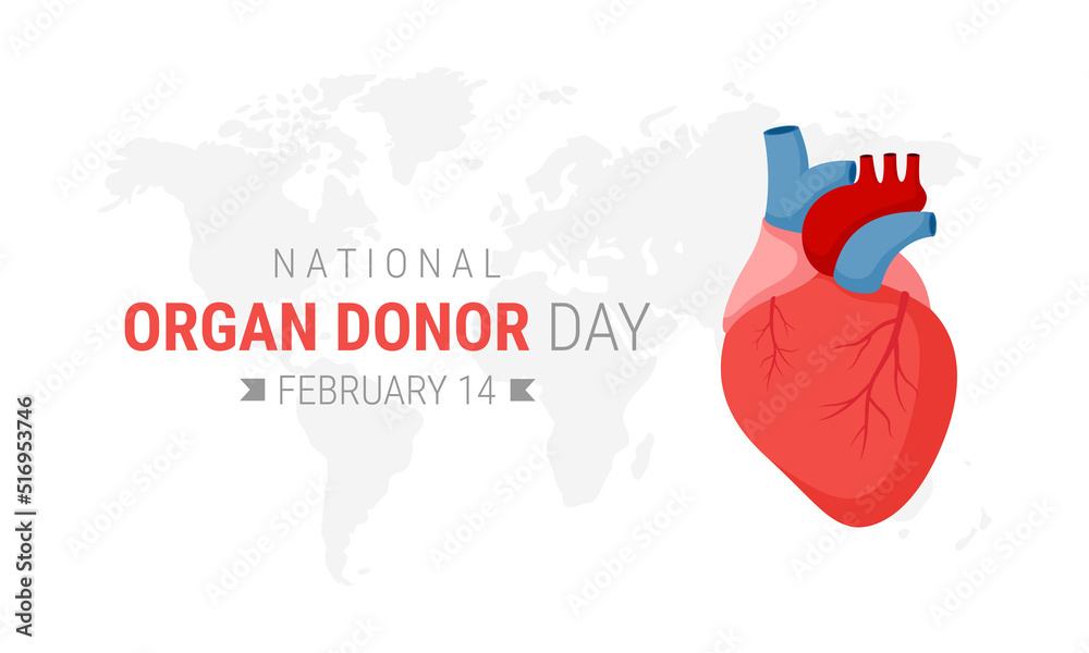 National organ donor day with Human Heart