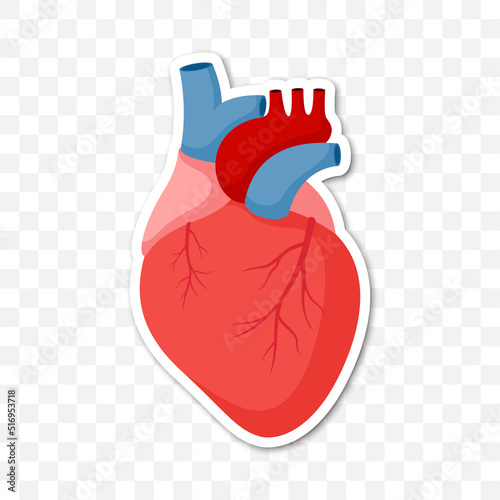 Note sticker with Human Heart, vector