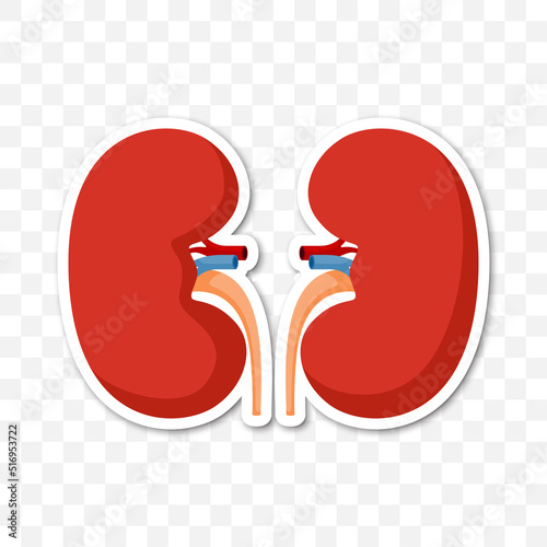 Note sticker with Kidneys, vector