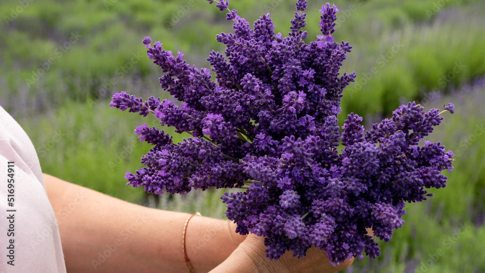 Woman with bouquet of beautiful lavender flowers outdoors, closeup. Woman with bouquet of beautiful lavender flowers outdoors, closeup.