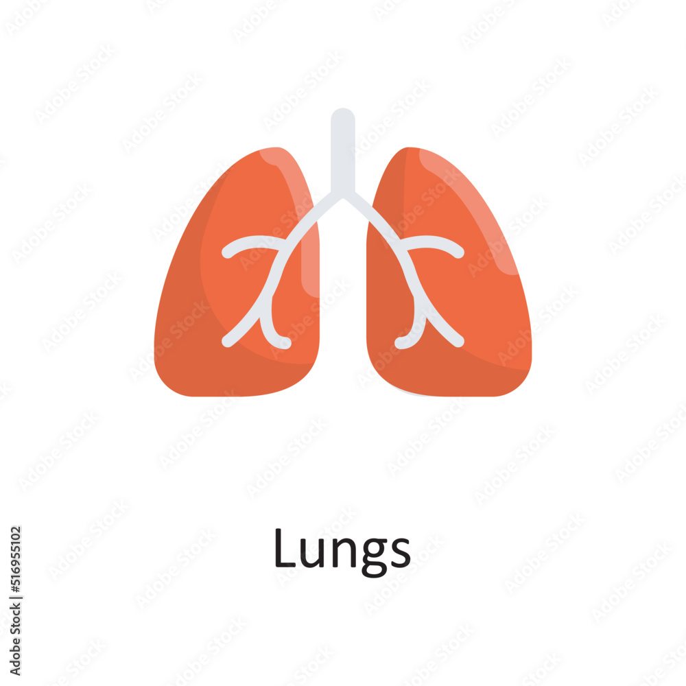 Lungs vector flat Icon Design illustration. Medical Symbol on White background EPS 10 File Lungs vector flat Icon Design illustration. Medical Symbol on White background EPS 10 File