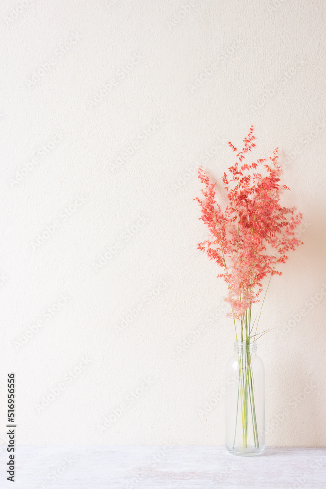 Pink flower grass (Natal grass,Natal redtop,Melinis repens) in glass bottle on wooden with wall background