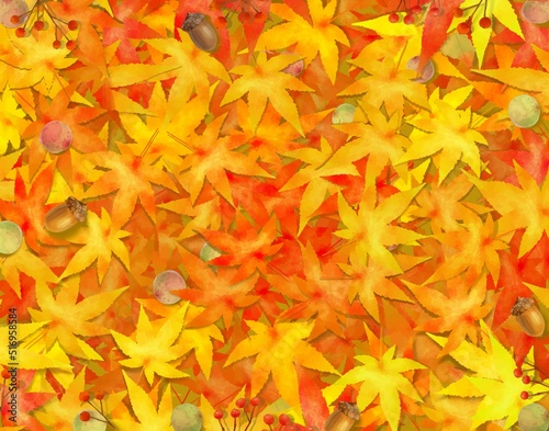 もみじどんぐりと木の実の敷き詰められた和風豪華な秋のイメージフレームイラスト壁紙素材