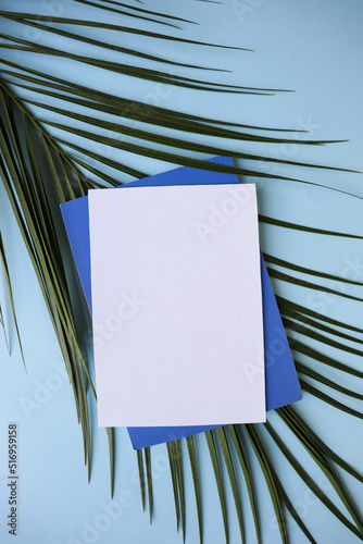 postcard mockup. palm tree branch with an envelope and a white blank for text. invitation. congratulation photo