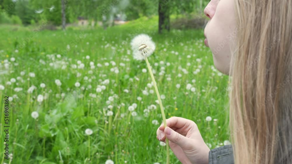 Long hair caucasian girl is blowing off dandelion seeds in nature. Long hair caucasian girl is blowing off dandelion seeds in nature.