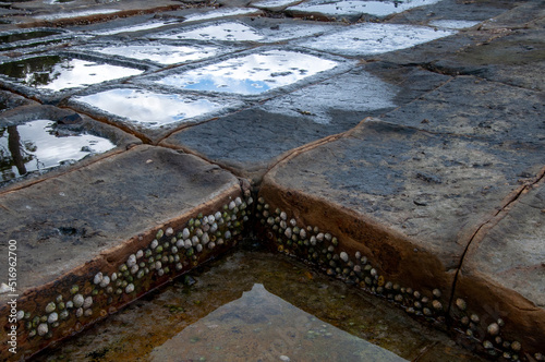 Eaglehawk Neck Australia, closeup of detail of tessellated pavement segments