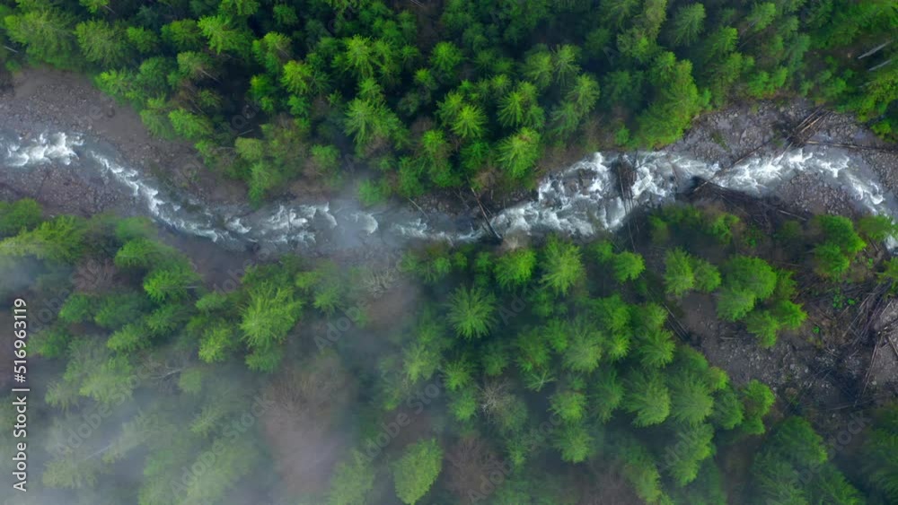 Top up aerial view through the clouds Snaky mountain river flowing in the misty forest