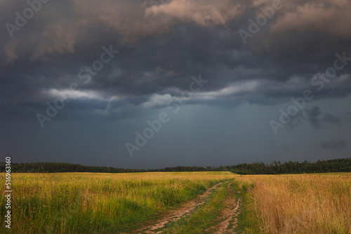 Stormy sky over a yellow field. A summer landscape with farm fields and paths under dramatic rainy clouds.