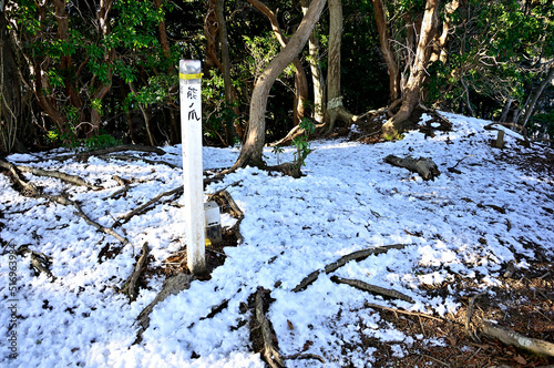 丹沢の能ノ爪山頂 能ノ爪は東丹沢の辺室山の西に位置する山。山頂は辺室山と物見峠との間の一般登山道から外れた西側のバリエーションルートを10分程歩いた場所にある。山と高原地図や地理院地図にはルート表示はなく、さらには山名や標高の表記すらも未掲載なので一般的には知られていない。 