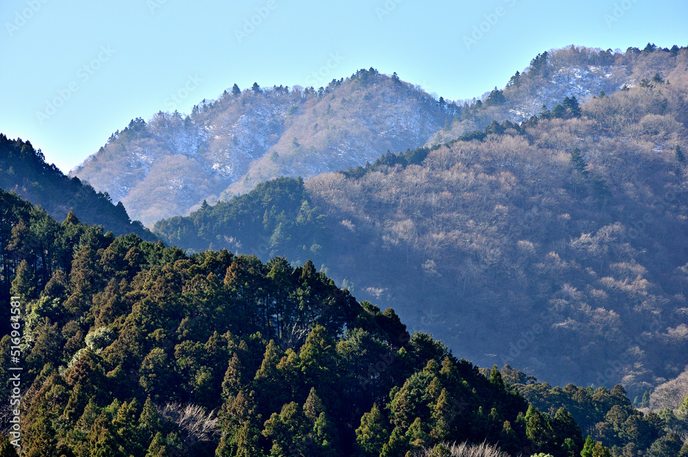 丹沢の旧道　宮ヶ瀬みちより大山三峰山を望む
